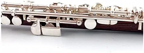 Flötenmusikinstrument, Dalbergia-Holz, Piccolo, C-Taste, Kupfernickel, Halbgroße Flöte, Versilbertes Korpusmaterial,outstanding78