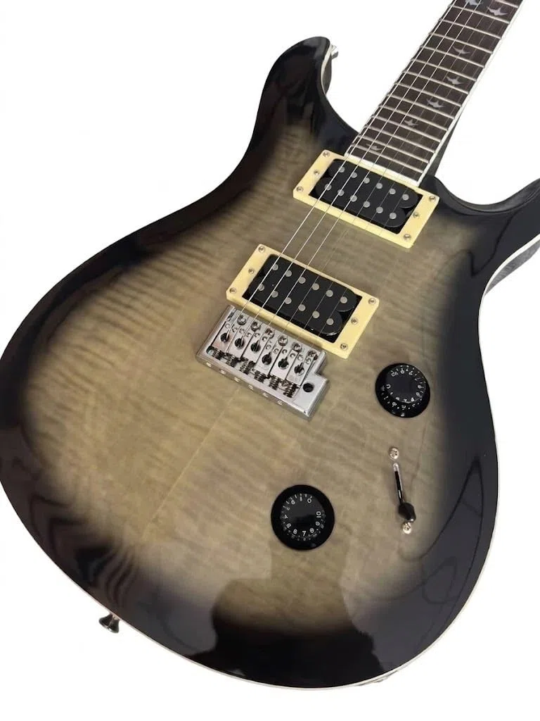 39-Zoll-E-Gitarre mit massivem Korpus for Anfänger und Erwachsene, Charcoal Flamed Burst-E-Gitarre HH-Tonabnehmern, Vogeleinlagen Tremolo-Brücke, perfekt for Rock Übung
