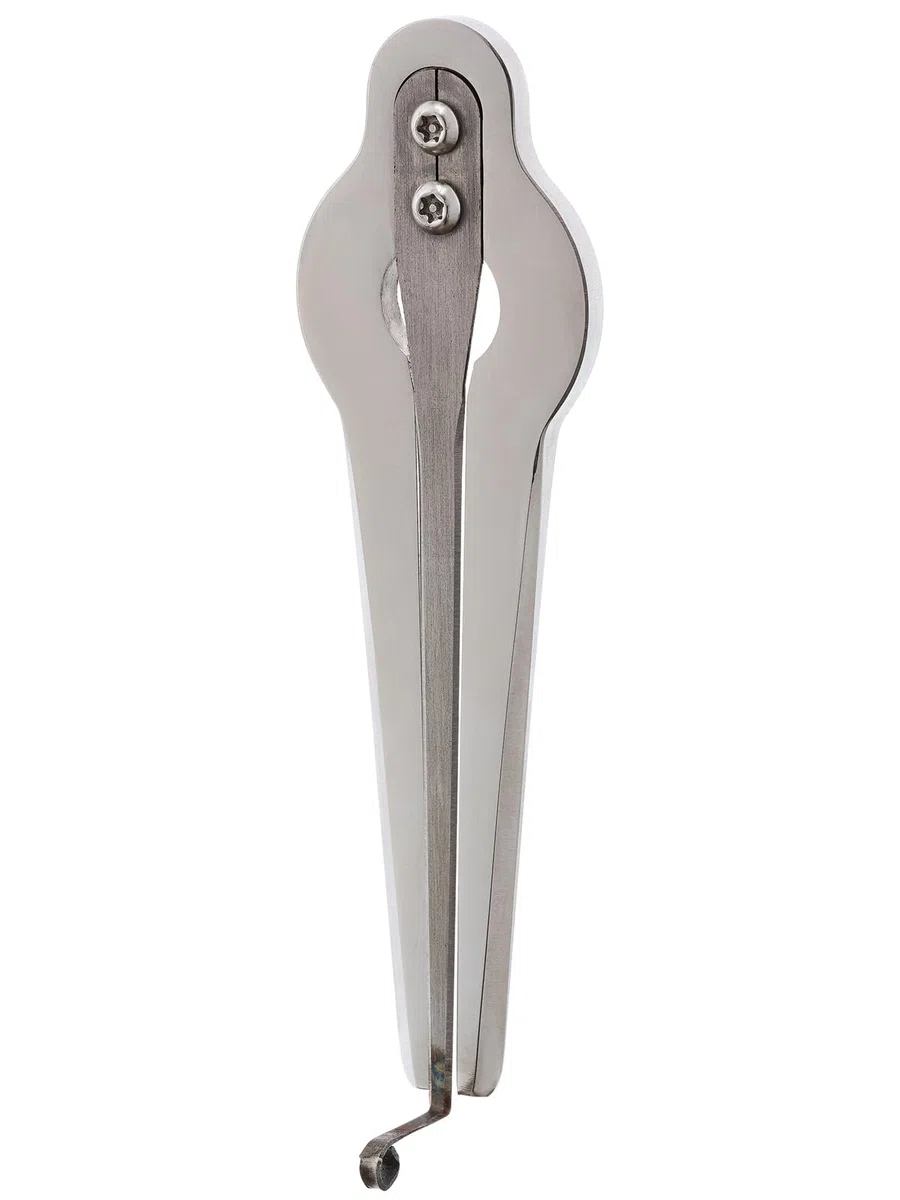 Maultrommel von D.Glazyrin/Magnum (in Holzkoffer) – Professionelles Mundmusikinstrument (Kieferharfe), schöner Klang, hervorragende Qualität, original russische Maultrommel (Kieferharfe,